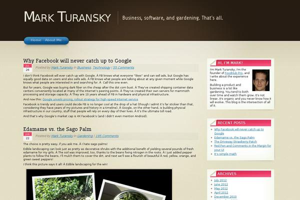 markturansky.com site used Arclite