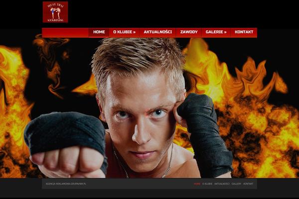 Theme1869 theme site design template sample