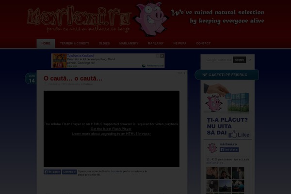 Bimber theme site design template sample