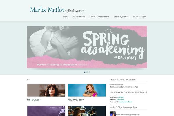 Simplicity theme site design template sample