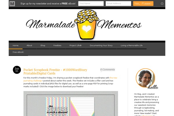 Reddle theme site design template sample