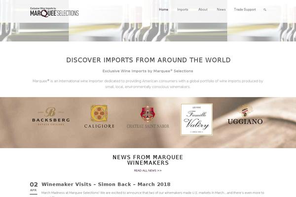 Skinbeauty-v1-00 theme site design template sample