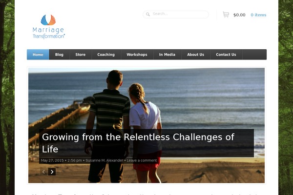 Function theme site design template sample