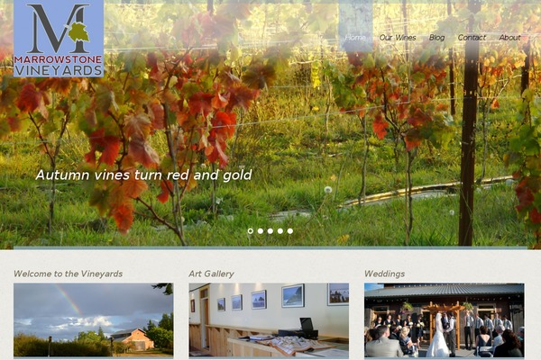 Site using Google Maps Widget plugin