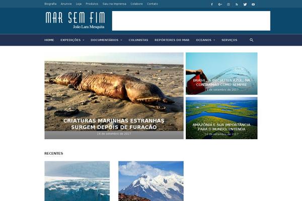 Ionmag theme site design template sample