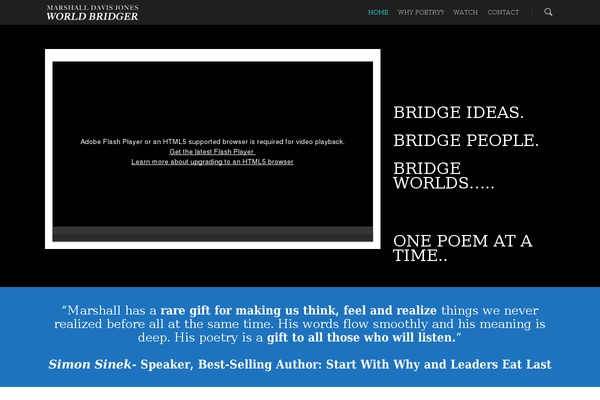 Salient theme site design template sample