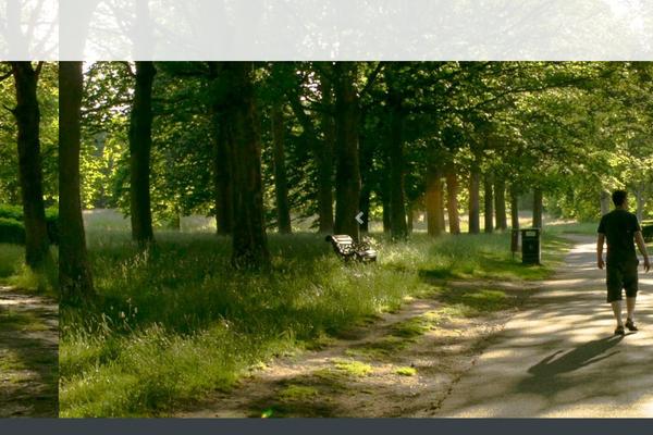 marshallvizard.com site used Origin-theme