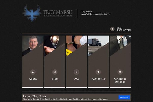 Themis theme site design template sample