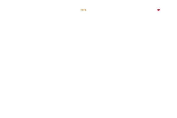 Wiz-child theme site design template sample