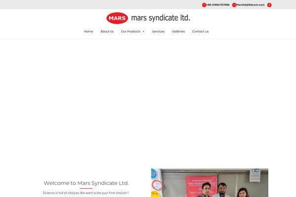 Medicare theme site design template sample