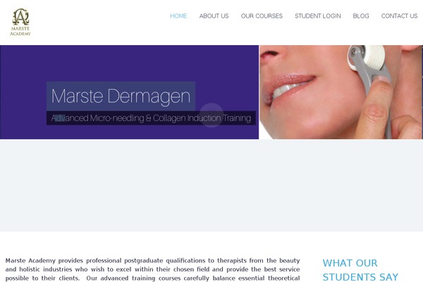 Codeus theme site design template sample