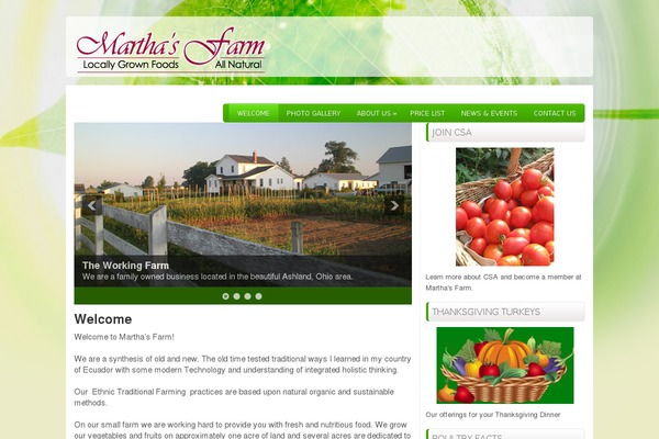 Healthstyle theme site design template sample