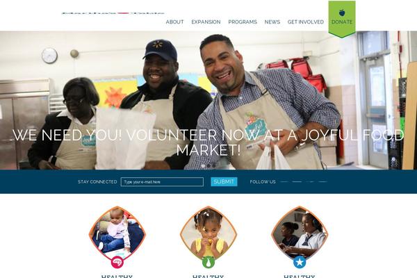 Site using Wp-analytify-forms plugin