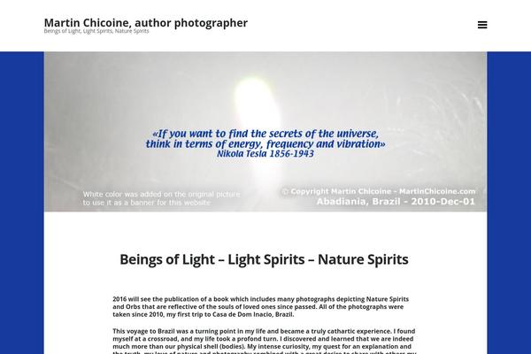 Motive theme site design template sample