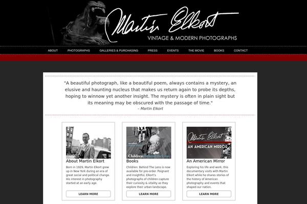 Shutter theme site design template sample
