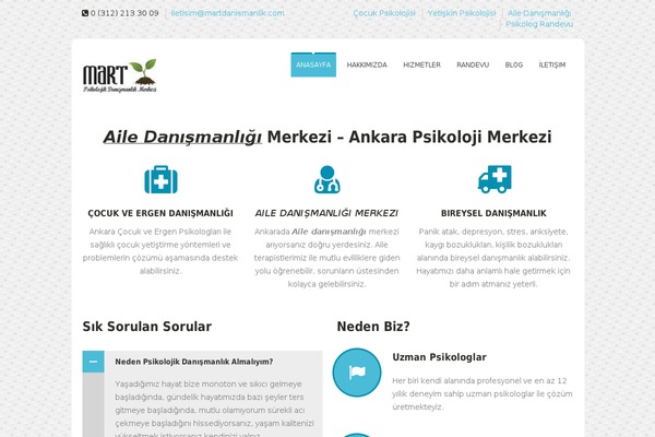 SoulMedic theme site design template sample