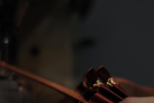 Site using Polo_extension plugin