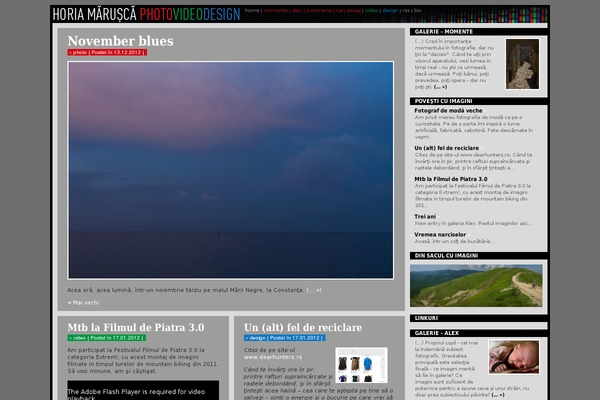 Bones theme site design template sample