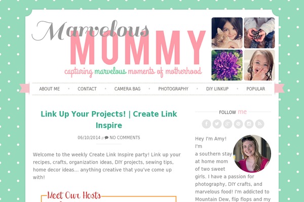 Rachel theme site design template sample