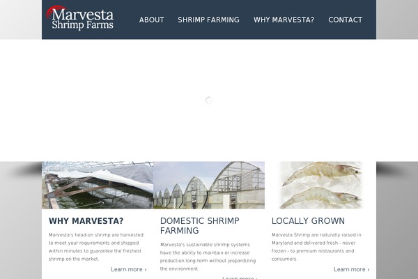 Tisson theme site design template sample