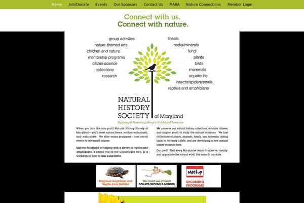 Site using Events Maker by dFactory plugin