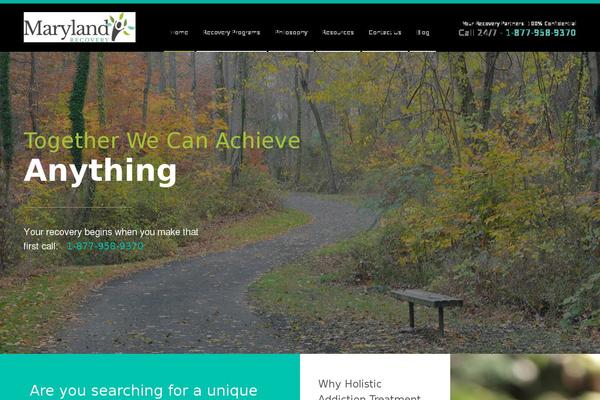 boilerplate-theme theme websites examples