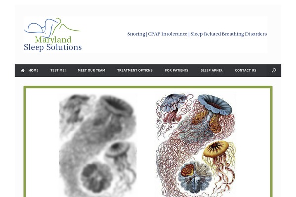 Site using Event List plugin