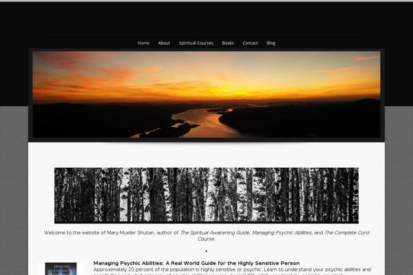Divi theme site design template sample