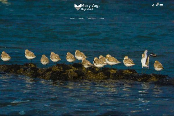 Photography-child theme site design template sample