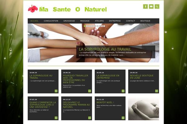 Magazino theme site design template sample