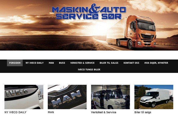 Pro theme site design template sample