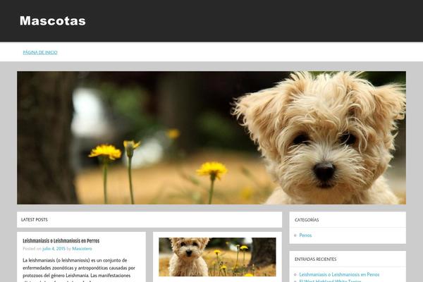 Momentous Lite theme site design template sample