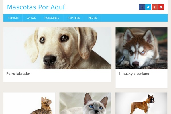 Minimalia theme site design template sample