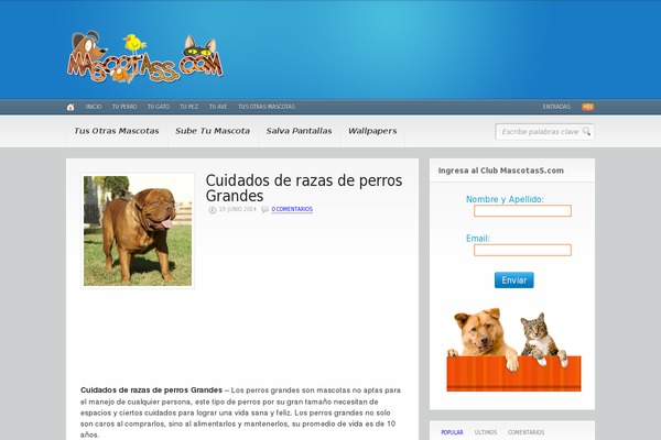 Site using Wp-smush-pro plugin