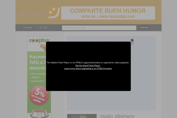 flat_child theme websites examples