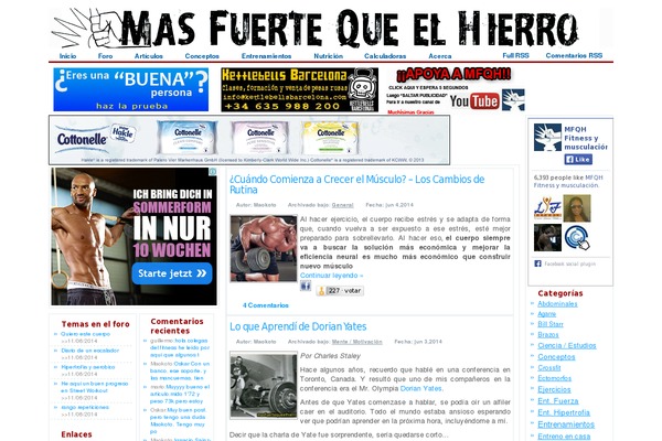 Bulk theme site design template sample