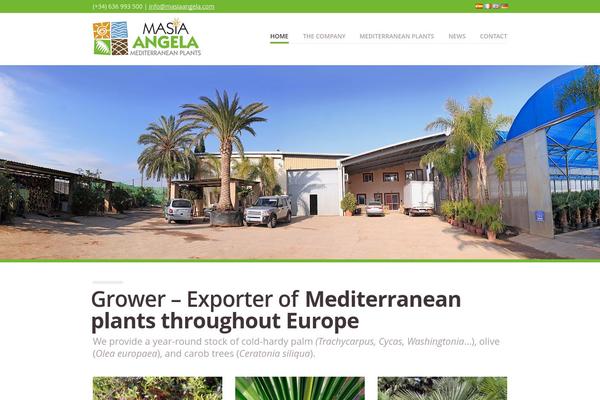 masiaangela.com site used Vanguard