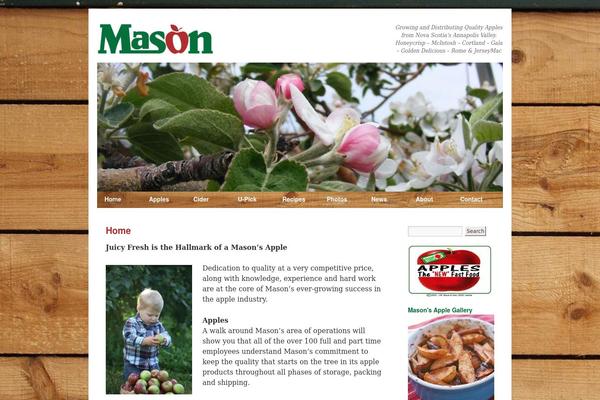 masonapples.com site used Mytwentyten