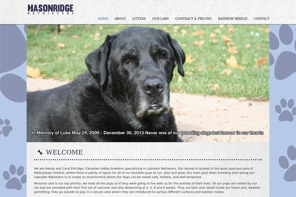 blacksun theme websites examples