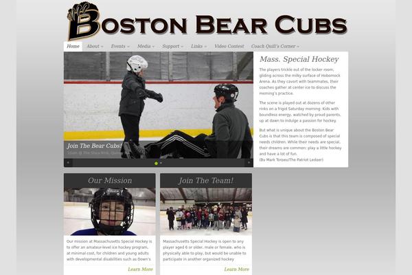 maspecialhockey.org site used NonProfit