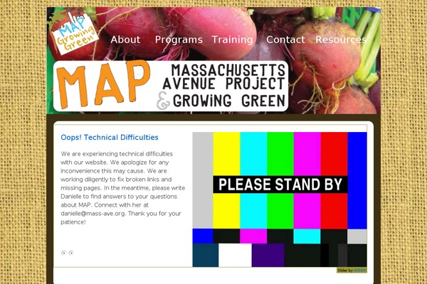 Site using Category Posts Widget plugin
