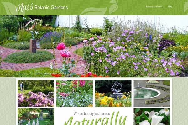 Site using Cforms146 plugin