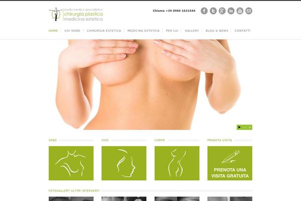 Nevada theme site design template sample