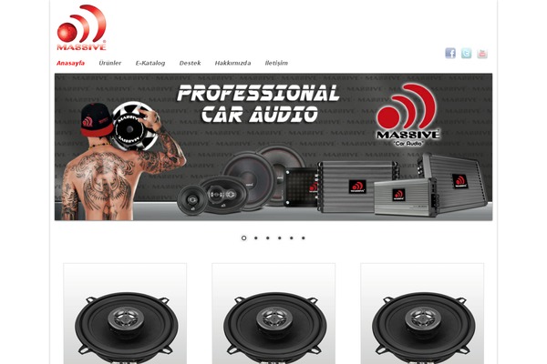 Modernize theme site design template sample