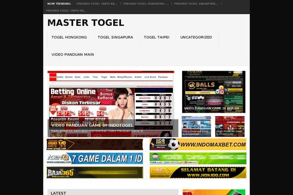 ArileWP theme site design template sample