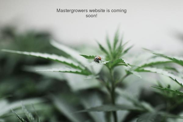 Site using Better Author Bio plugin