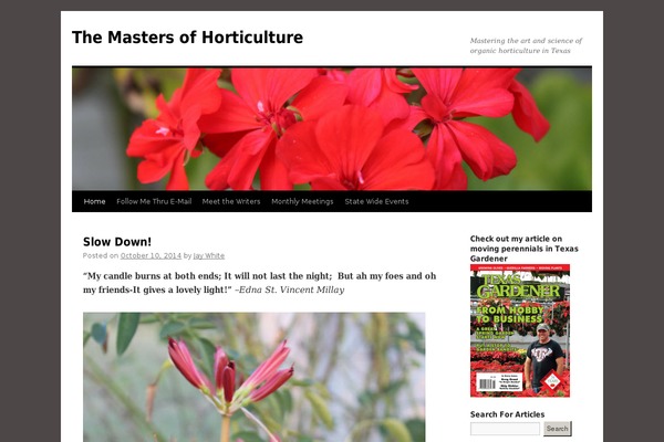 Site using Pinterest Pin It Button For Images plugin