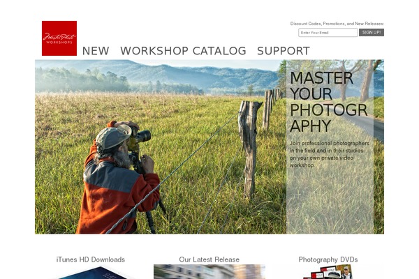 Mpw theme site design template sample