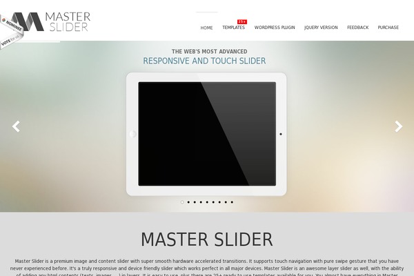 masterslider theme websites examples