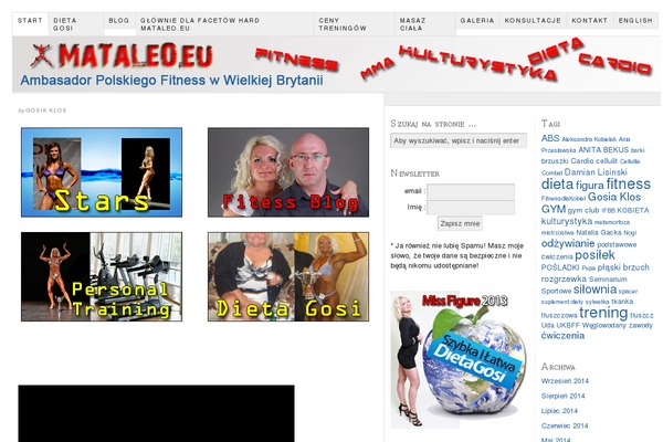 Site using WP Post Navigation plugin